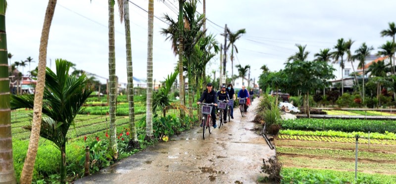 Cycling tour in Hoi An
