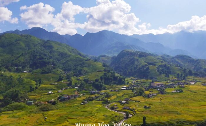 The beauty of Muong Hoa Valley and the terraced rice fields in autumn
